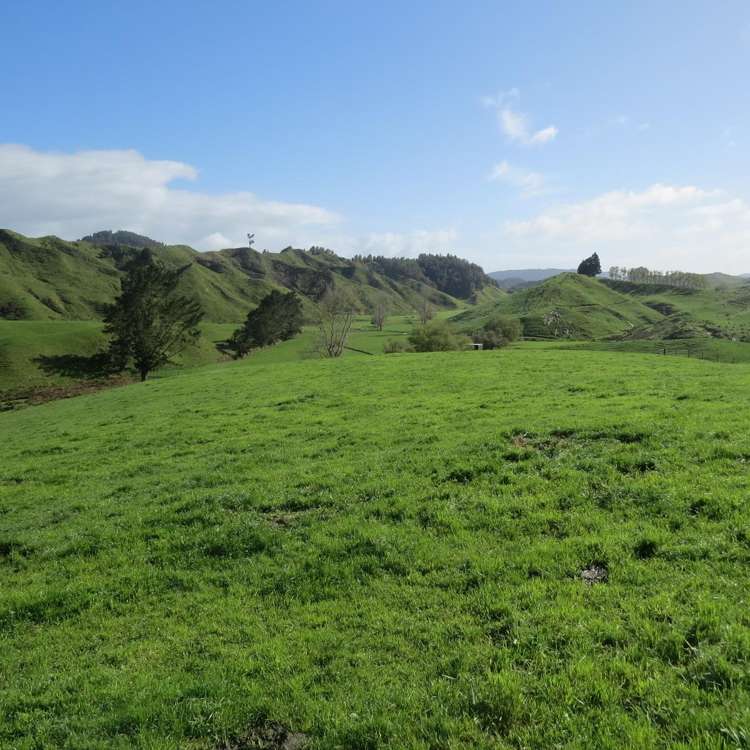 168 Pao Road Aria_23