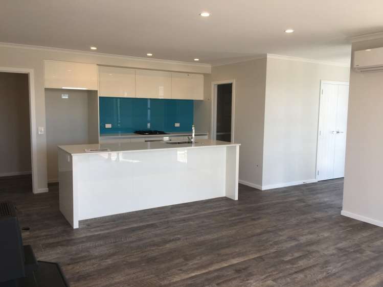 1 Saddlers Way Papamoa_1