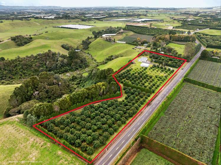 536 Maniatutu Road Pongakawa_20