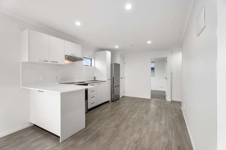 4A/1 Ophir Street Grey Lynn_15