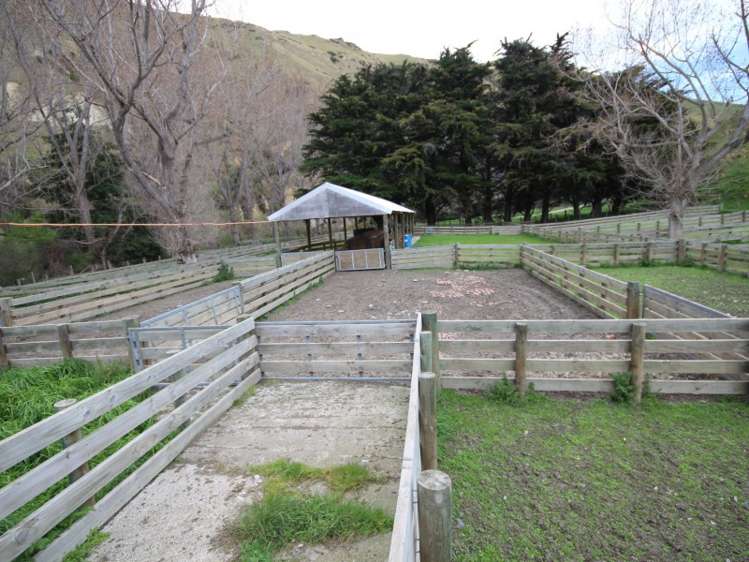 528 Ram Paddock Road Broomfield_7