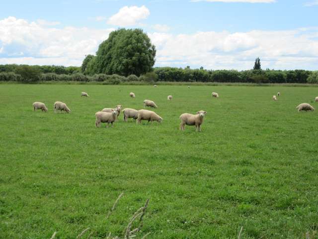 3389 State Highway 2 Takapau_4