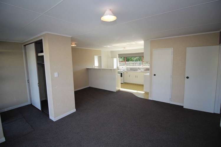 136e High Street Bulls_5