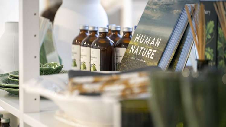 21 Manapau Street Meadowbank_8