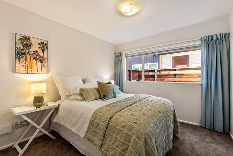 31 Arcus Way Hataitai_9