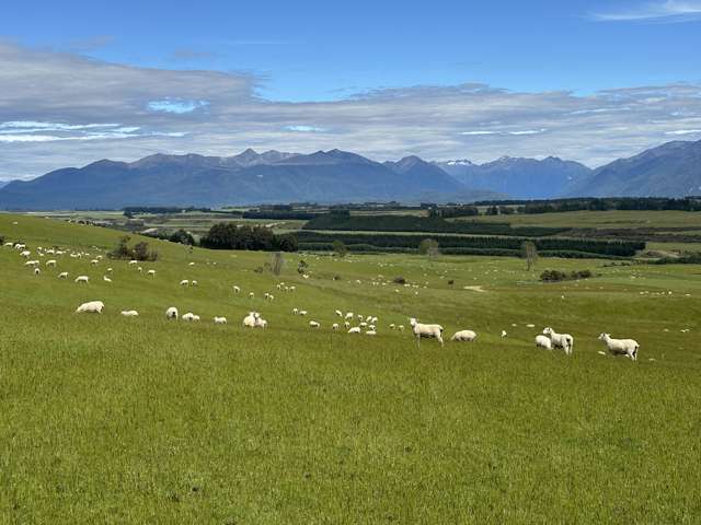 133 Dale Road Te Anau_2