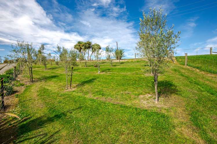 392 Rosebrook Road Claremont_48