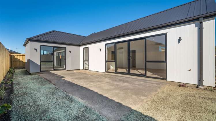 4 Borthwick Street Belfast_1