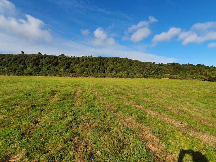 Blue Spur Road Hokitika_6