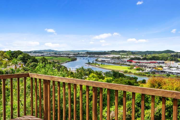 50 Punga Grove Avenue Riverside_25