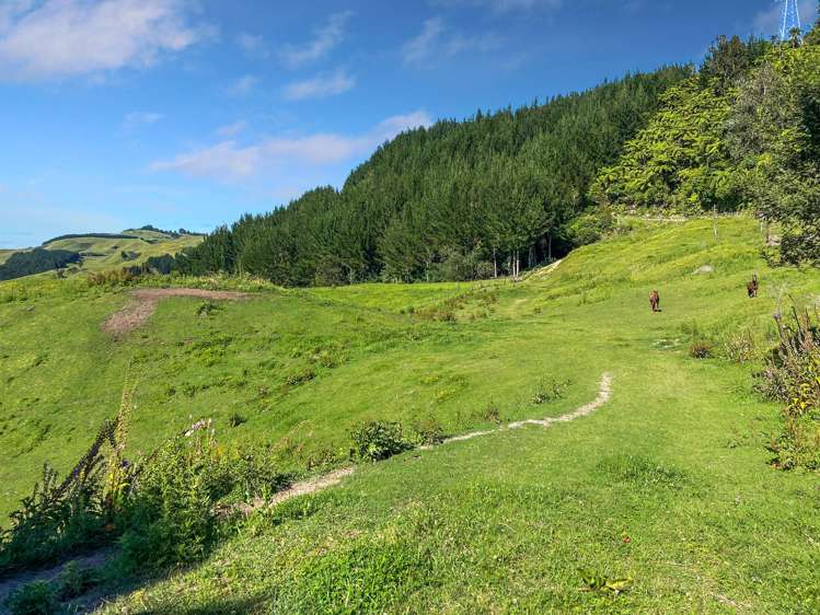 109 McIvor Road Rotoma_11