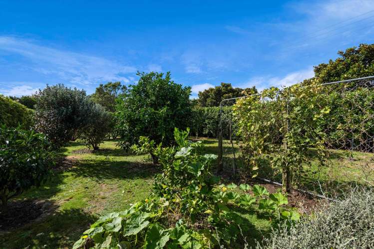51 Wilson Road Urenui_31