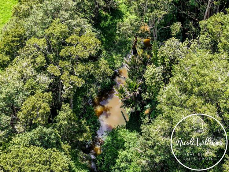 437 Paparoa Station Road Paparoa_24