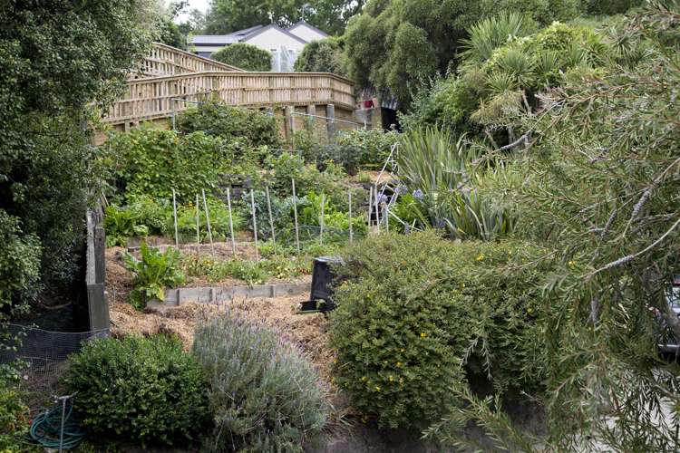 20c Hackthorne Road Cashmere_20