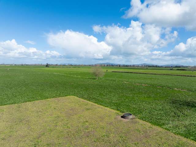 353 Maiseys Road, Waharoa Matamata_3