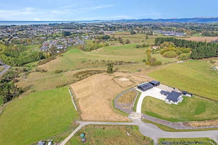 Pukeko Lane Weston_1