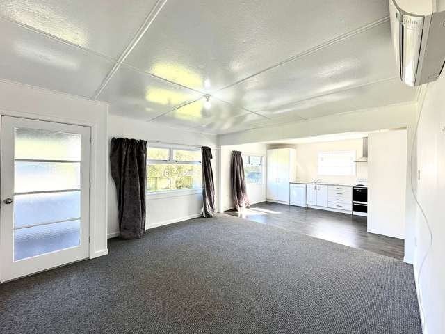 90 Centennial Avenue Waitara_3