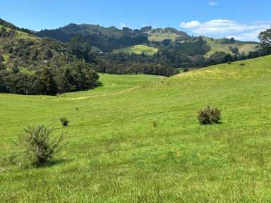 928 Kuaotunu-Wharekaho Road_2