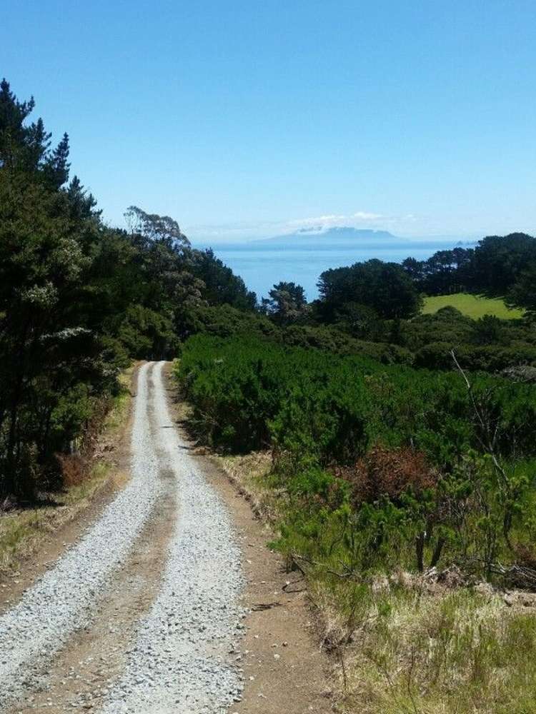 411 Schooner Bay Road Great Barrier Island (Aotea Island)_14