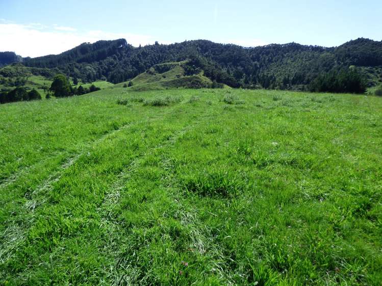 836 Waitomo Valley Road Waitomo_11