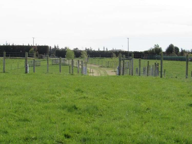 49 Downs Road Geraldine_2