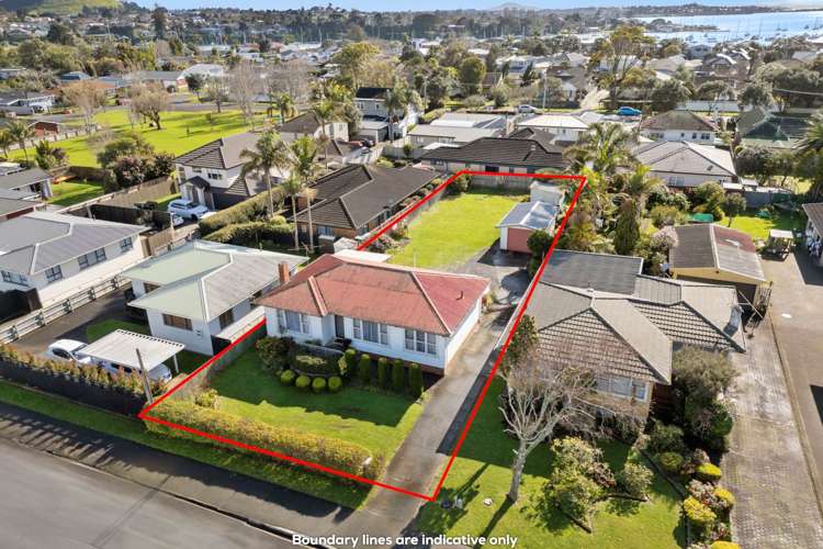 11 Williams Avenue Pakuranga_2