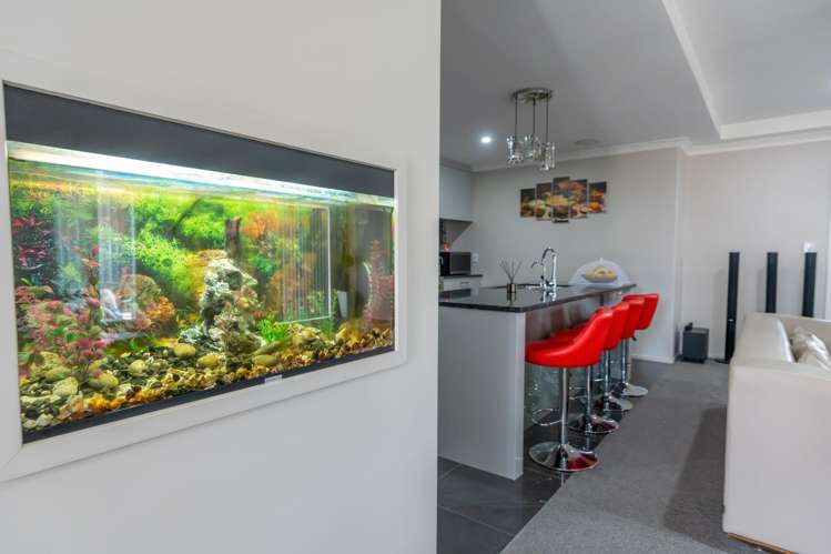 13 Chesham Street Rototuna North_6