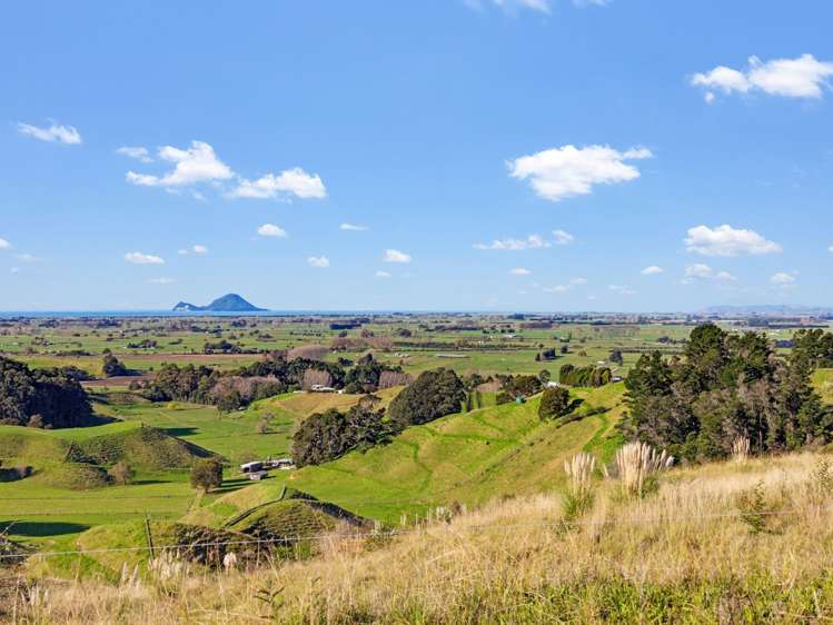 32 Rangipare Lane_0