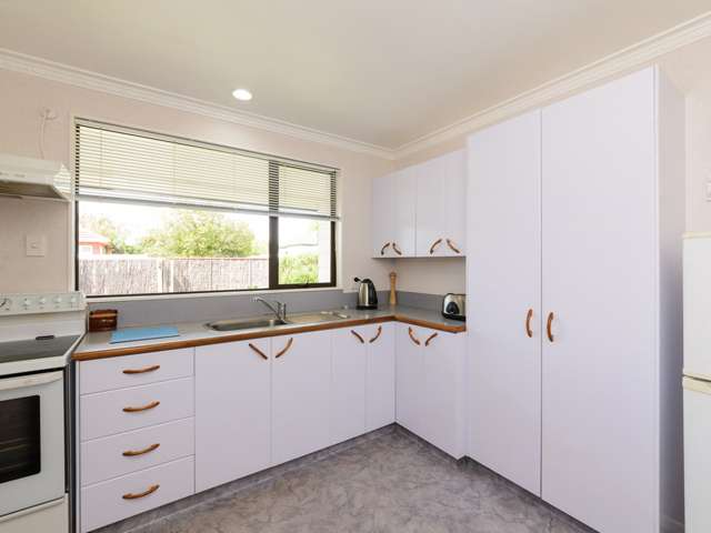 79a Arthur Street Blenheim Central_1