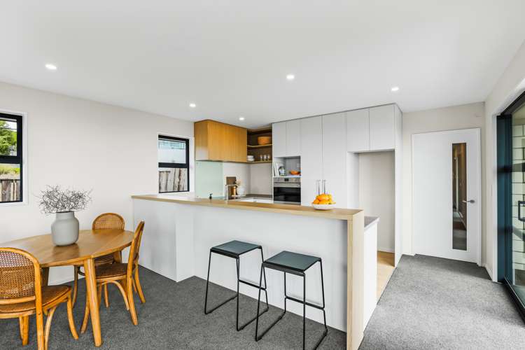 223b Mount Pleasant Road Mount Pleasant_6