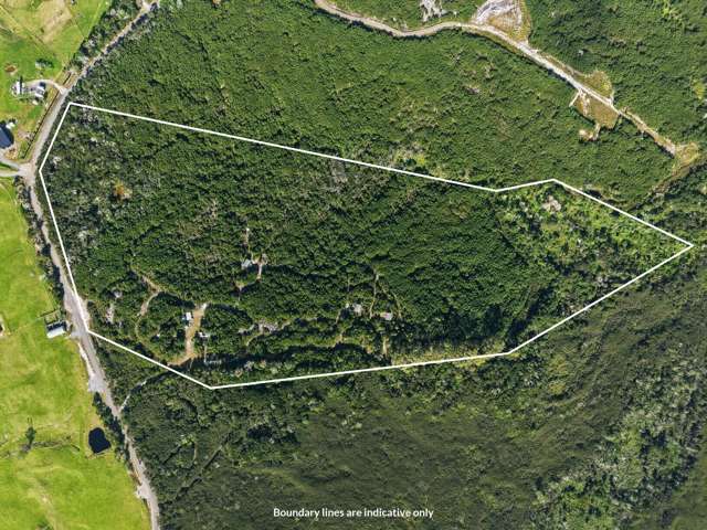 215 Tahanga Road Lake Ohia_1