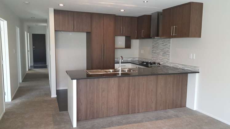 235d Porchester Road Takanini_2