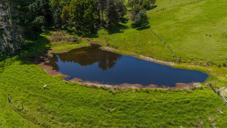 191A Fryer Road Kaitaia_31