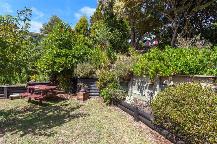8 Pine Grove Tairua_32