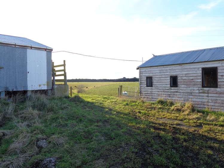 Old Port Road Catlins Surrounds_6