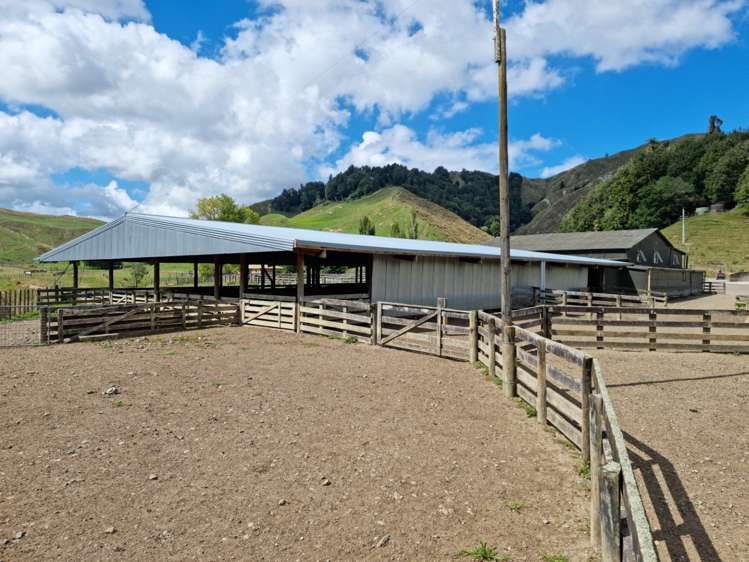 3779 Whanganui River Road (State Highway 43) Ruapehu-King Country Surrounds_15