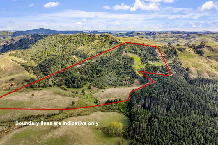 808 Kaipara Hills Road Warkworth_16