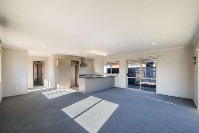 44b Hokio Beach Road Levin_3