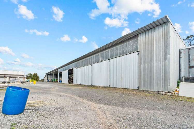 126 Wiroa Road Kerikeri_15