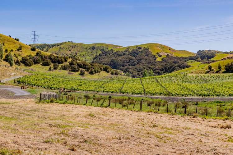 Lot 8 Eskridge Drive Eskdale_3