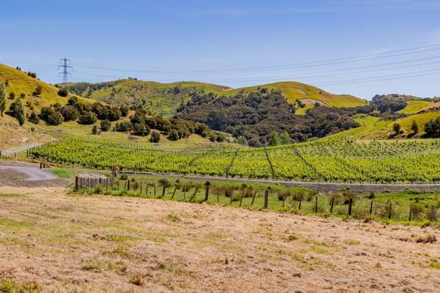 Lot 8 Eskridge Drive Eskdale_3