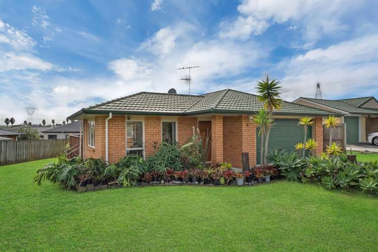 46 Medvale Avenue Flat Bush_29