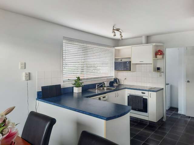 58 Denise Crescent Hornby_3