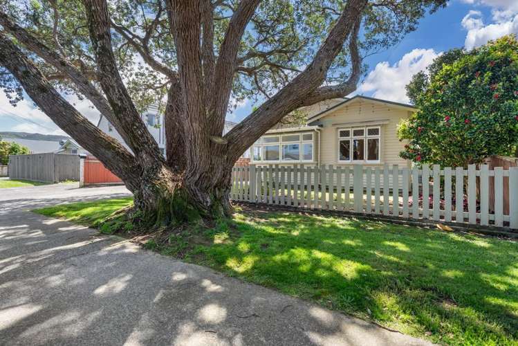 9 Bracken Street Petone_23