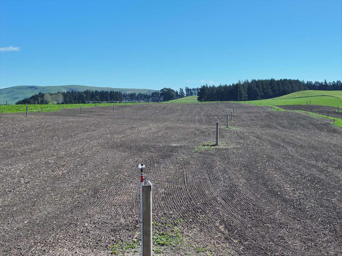 593 Lower Flat Road_5