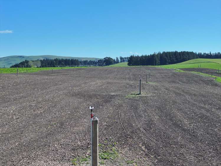 593 Lower Flat Road Waiau_9