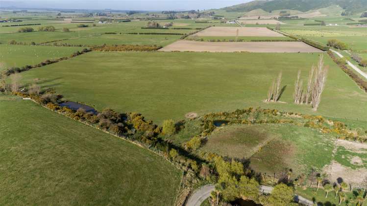 219 Wyndale Road Springfield_33