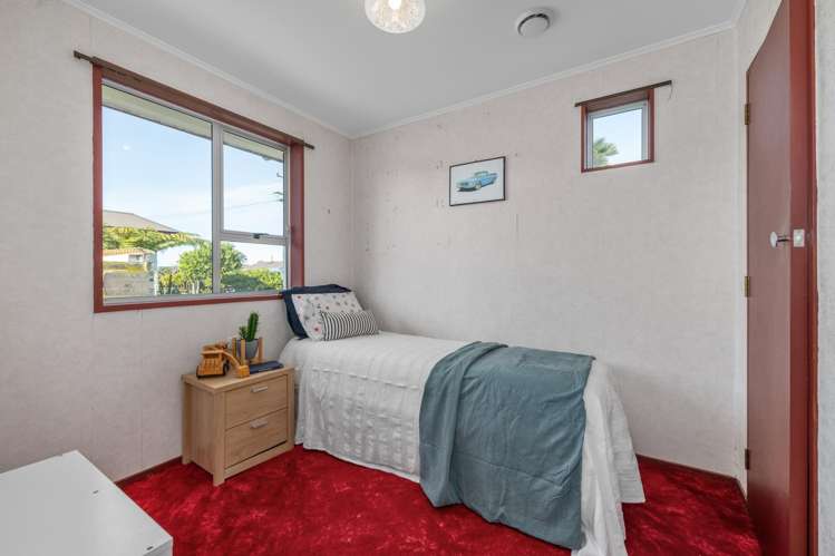 27 Clyde Street Renwick_19