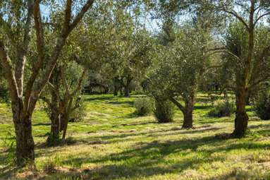 417 Upper Plain Road_3