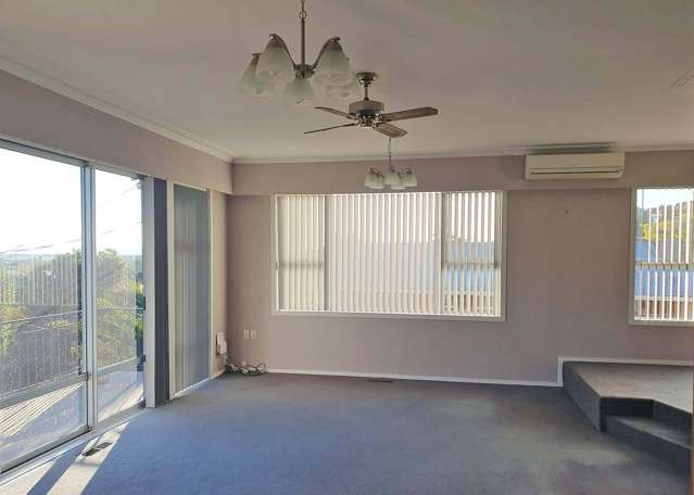 6 Miro Street Te Aroha_1